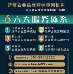 數(shù)字田野的耕耘之道 藍(lán)獅策劃互聯(lián)網(wǎng)+農(nóng)業(yè)市場的營銷策略解析